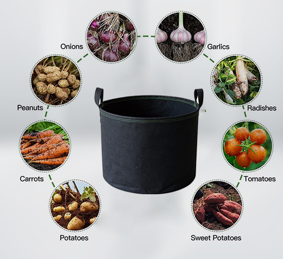 Growing bag